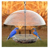 Dome Top Seed & Bluebird Feeder, 11-3/4 Inch