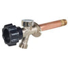 Frostproof Anti-Siphon Wall Hydrant, 12-In.